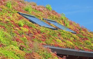 Rhyd Y Sarn living roof systems