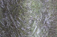 Rhyd Y Sarn fibreglass roof work